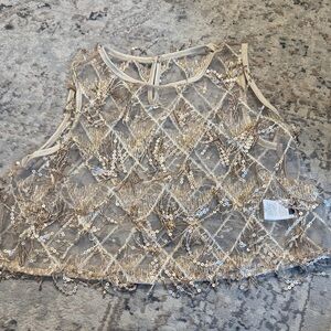 Beaded Sequin Mesh Crop Top in Champagne